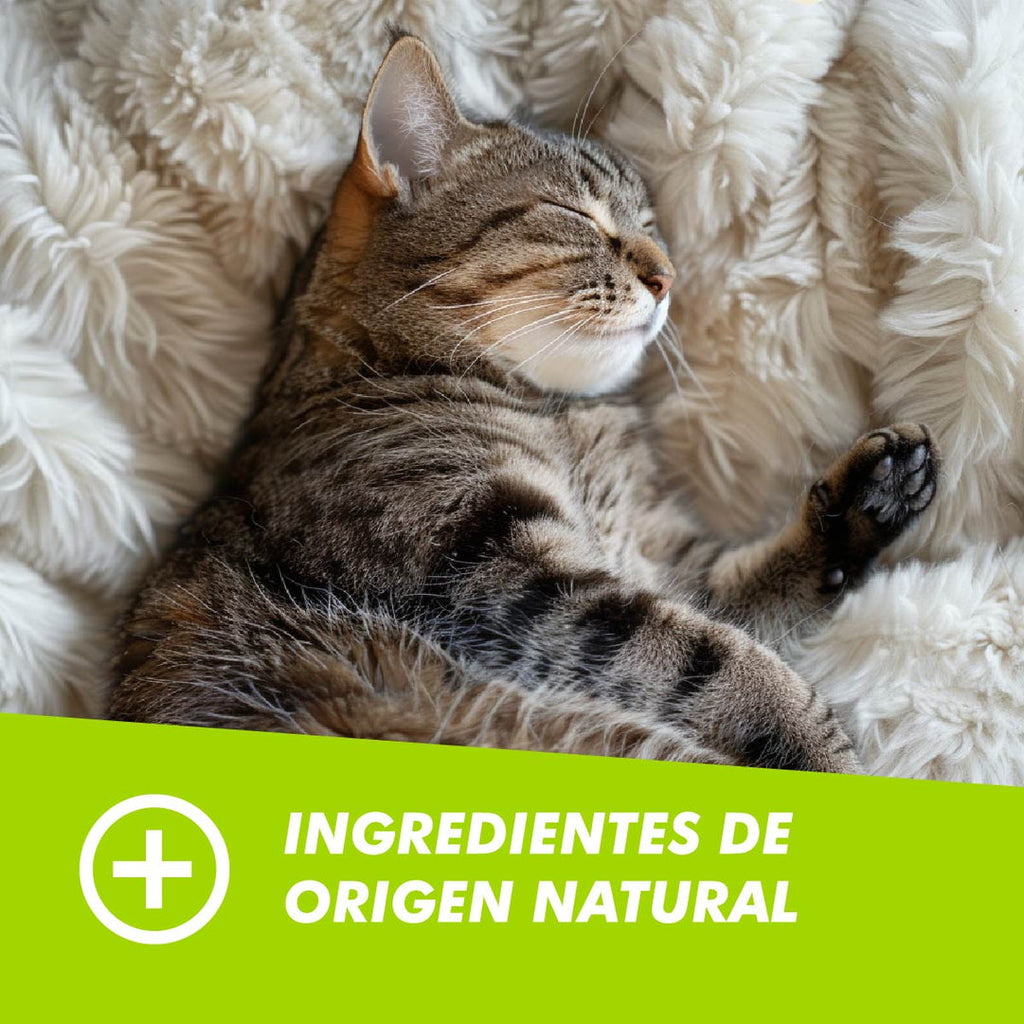 Hairball Chew para Gatos – Pet Naturals 240g. Control Natural de Bolas de Pelo
