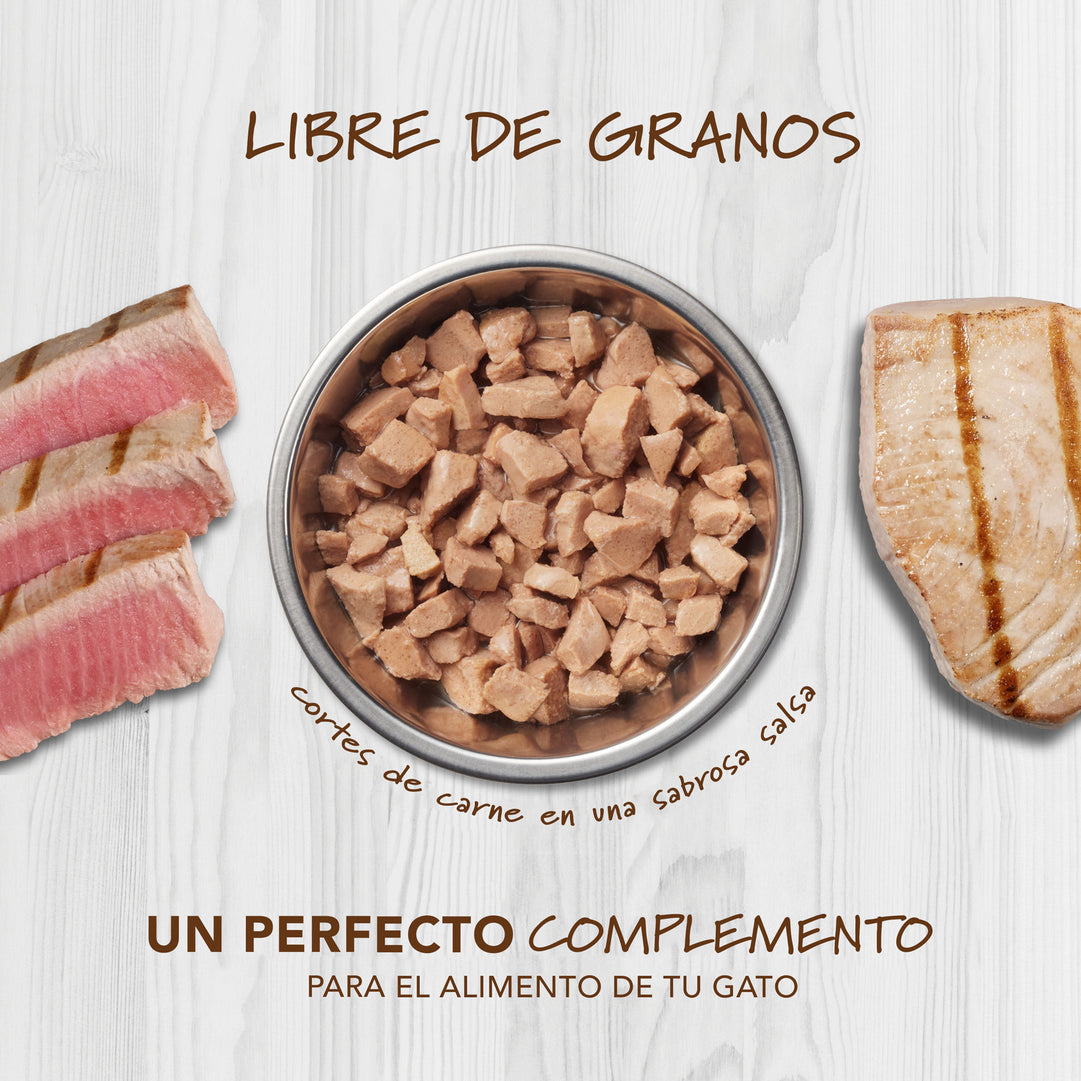 Healthy Cravings de Atún 3.5 oz para gato