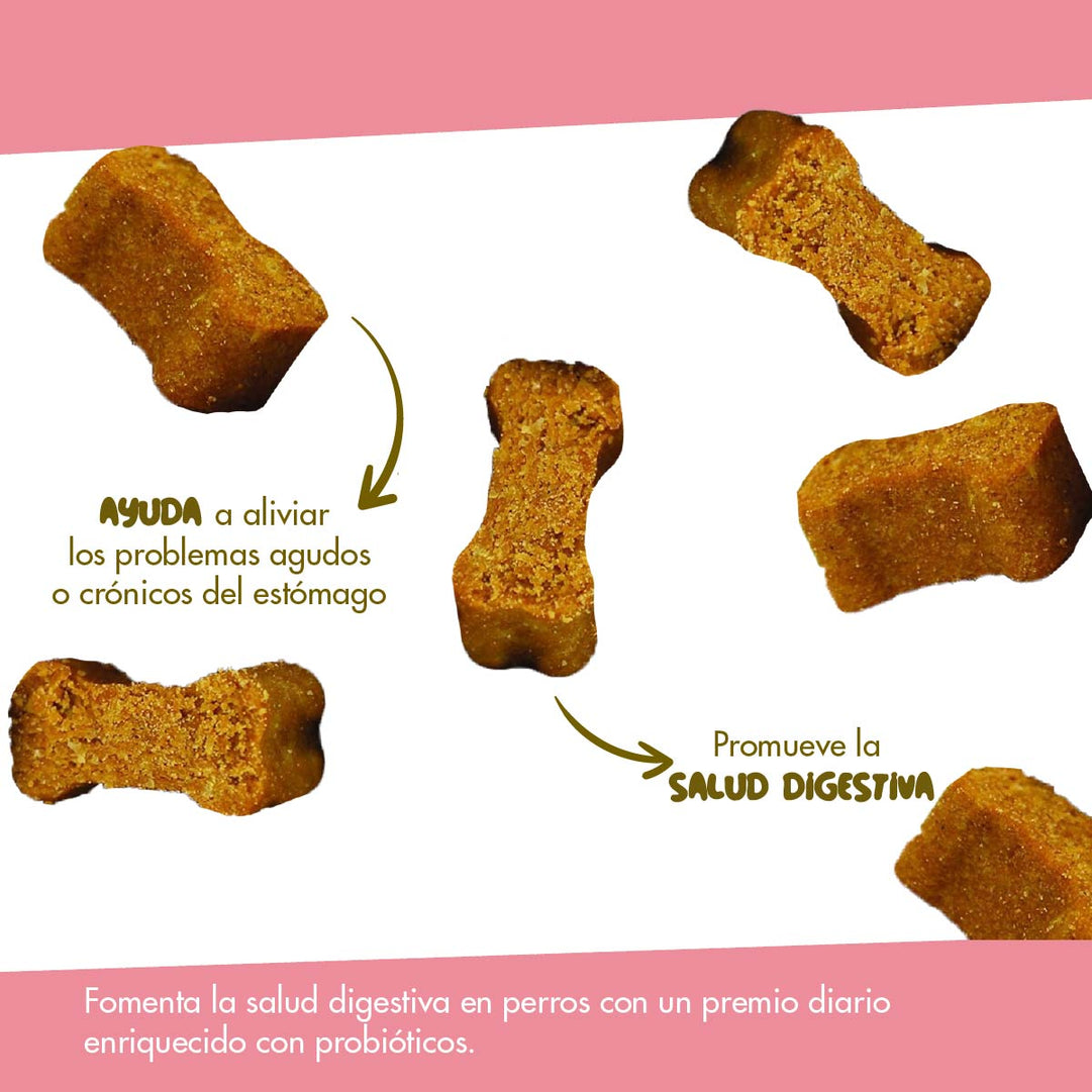 Daily Probiotic Para Perros 160 chews