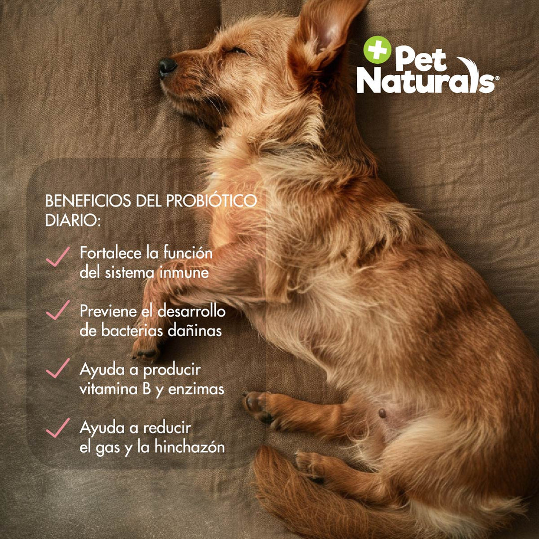 Daily Probiotic Para Perros 160 chews