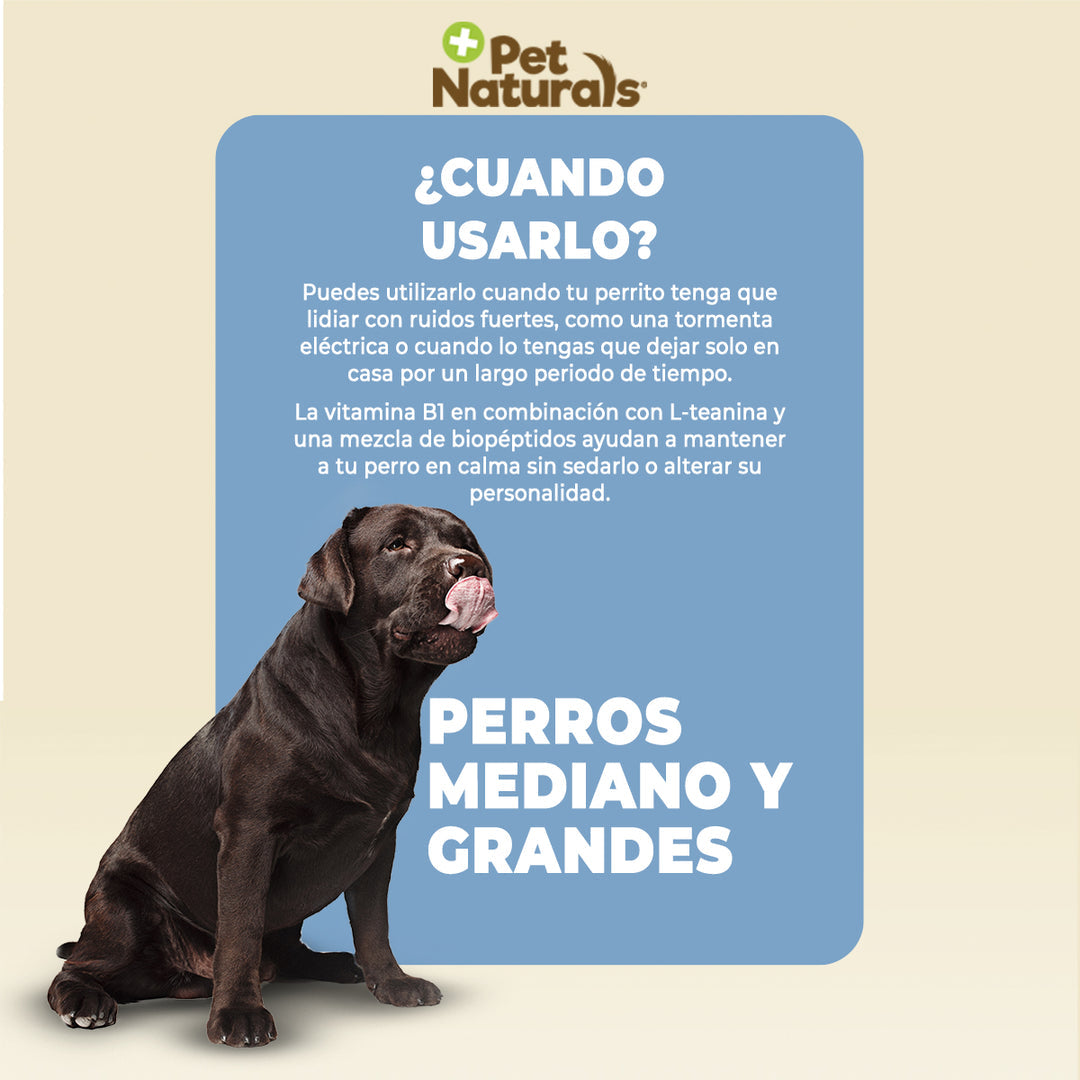Pet Naturals Calmantes para Perros Medianos y Grandes – 67.2 g (21 Pastillas)