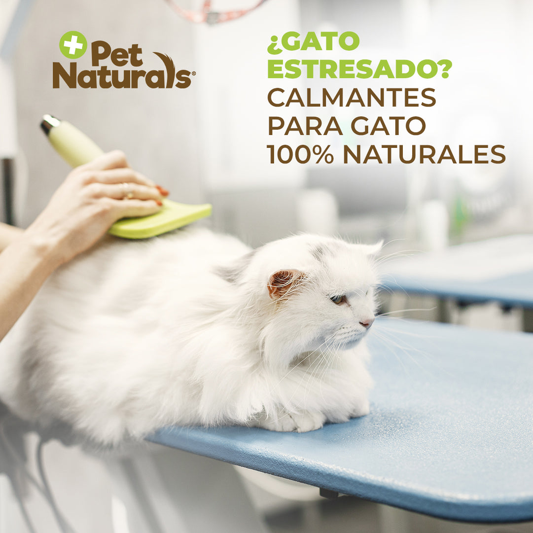 Pet Naturals Calmantes para Gatos – 31.5 g - Apoyo Natural para Momentos de Estrés